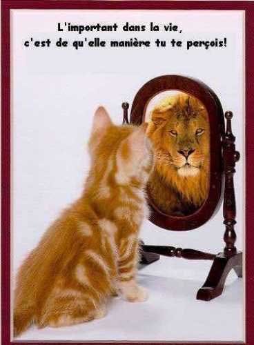 humour